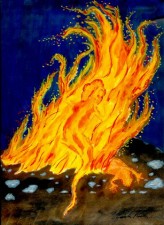 11Feuer-Salamander.jpg